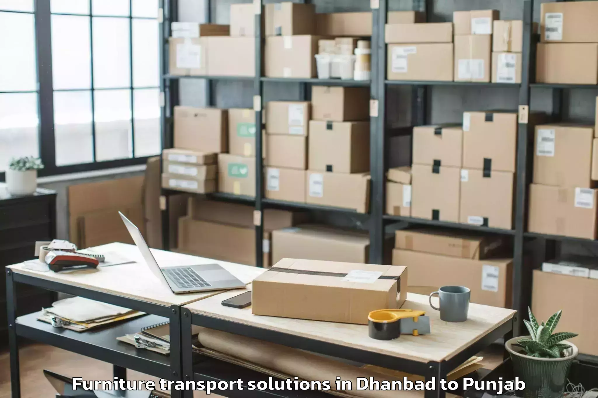 Professional Dhanbad to Phagwara Furniture Transport Solutions